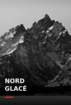 Affiche du film Nord Glacé