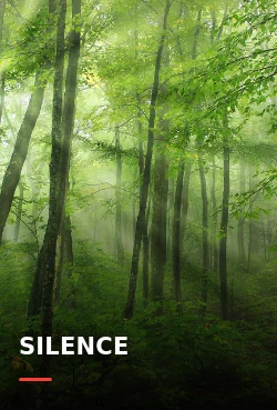 Affiche du film Silence