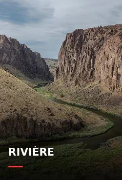 Affiche de la série Rivière