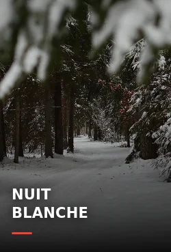 Affiche de la série Nuit blanche